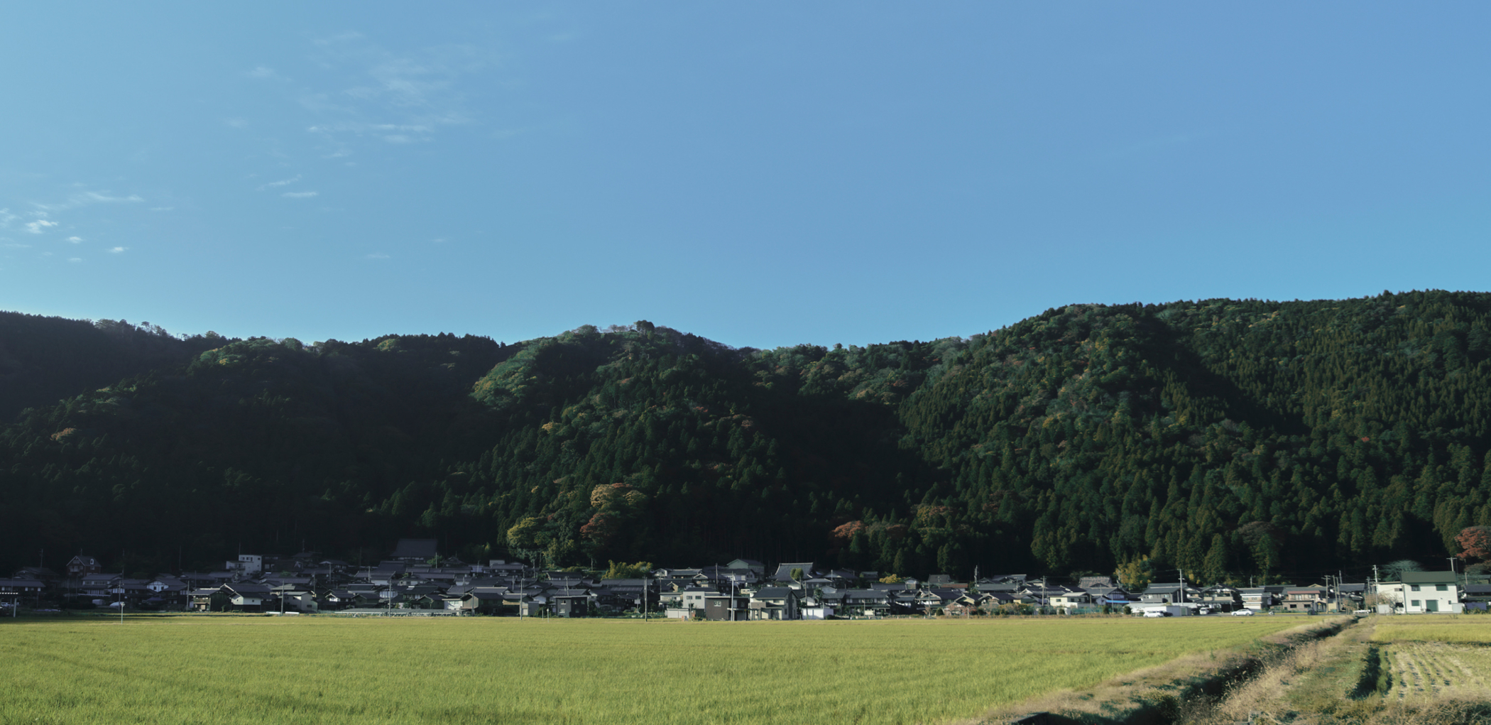 戦国を刻んだ湖北image